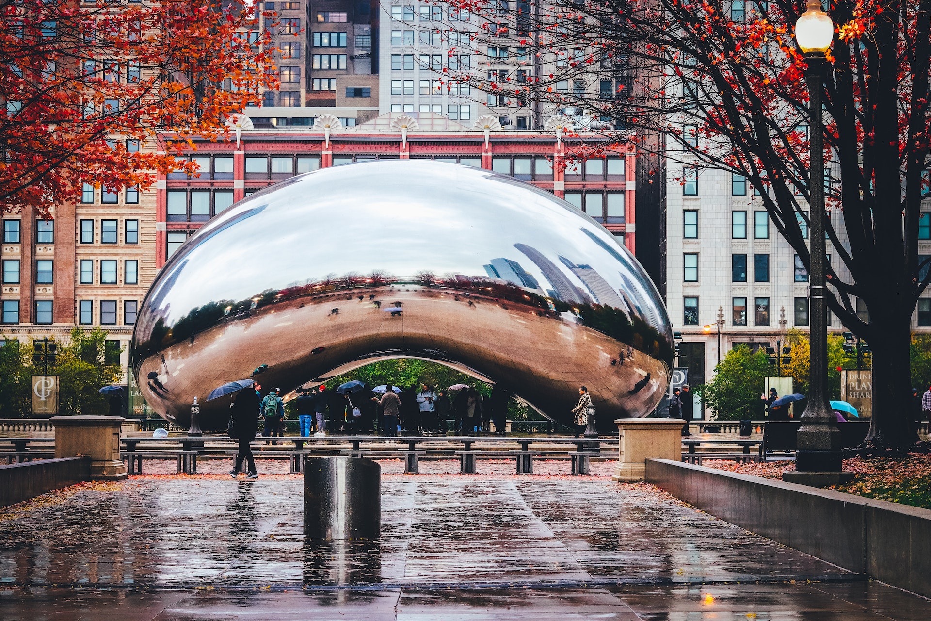 Image of metal bean sculpture.