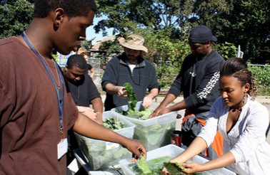 Students at Boston Day and Evening Academy try urban gardening